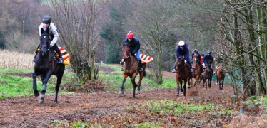 Gallops Jan 2012