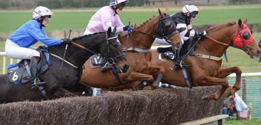 brightling-racing-point-to-point