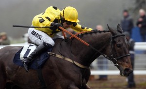 Arbeo and Sam Thomas winning The Betfred Double Delight Novices' Chase Pic Dan Abraham - racingfotos.com Newbury 29.12.12 THIS IMAGE IS SOURCED FROM AND MUST BE BYLINED "RACINGFOTOS.COM"